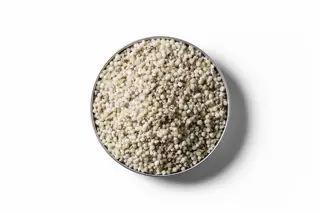250403 RVD Dap 13S