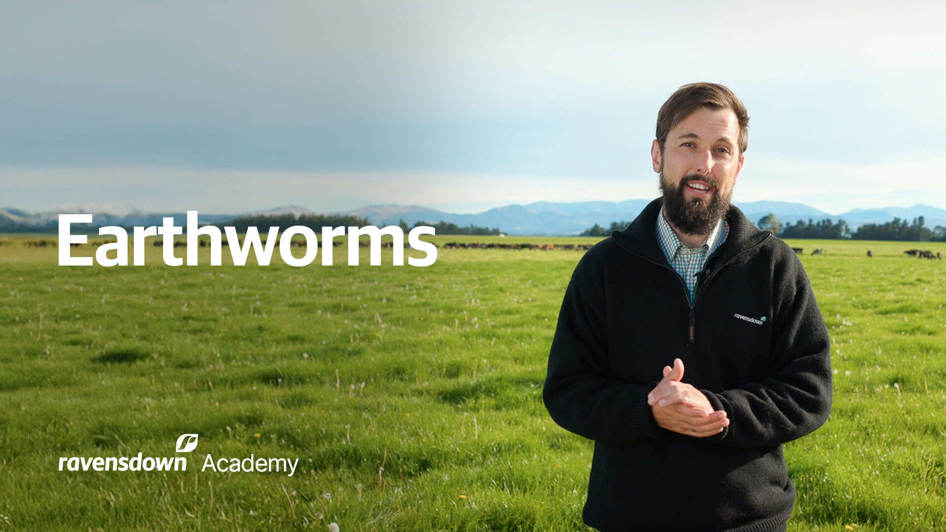Ravensdown Academy Earthworms