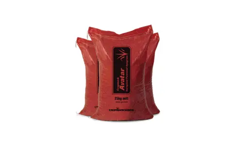 Avatar 25KG 700X420