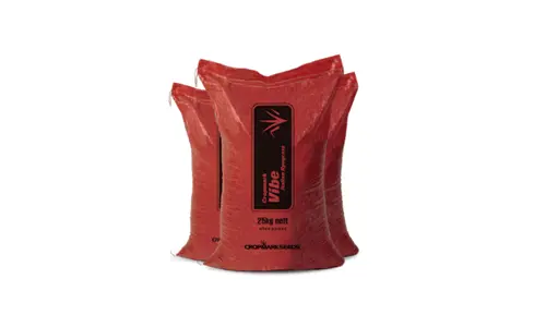 Vibe 25KG 700X420