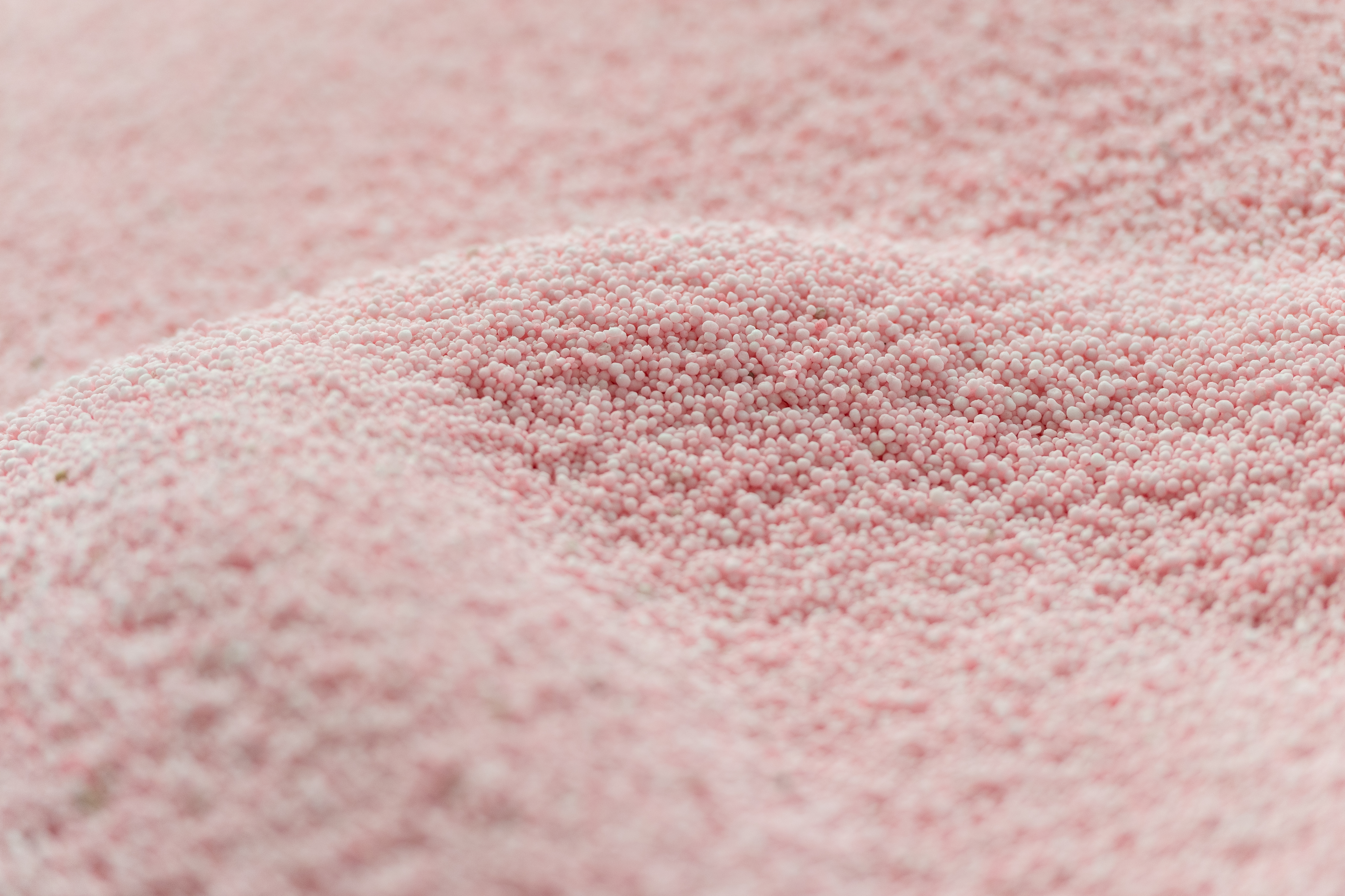 20230117 RAV Hawkesbay Sheep&Beef 167